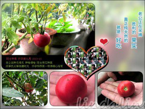 psbZV8EDAWE