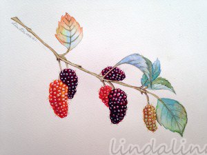 img_8202